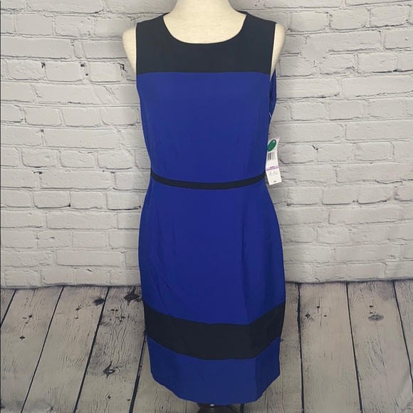 BLACK LABEL BY EVAN-PICONE SLEEVLESS DRESS - Picture 1 of 6